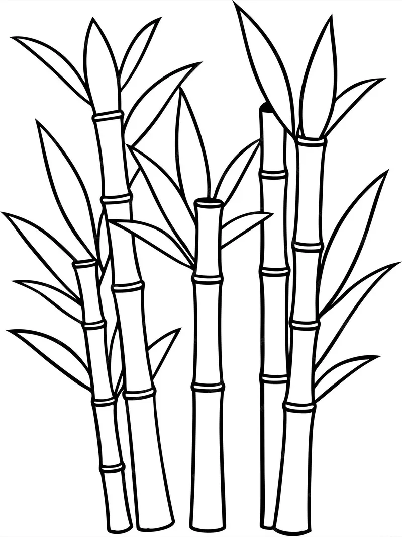 Tranh tô màu cây trúc và chim sinh động