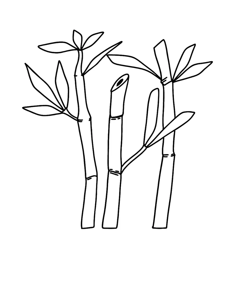 Tranh tô màu chủ đề Tứ Quý