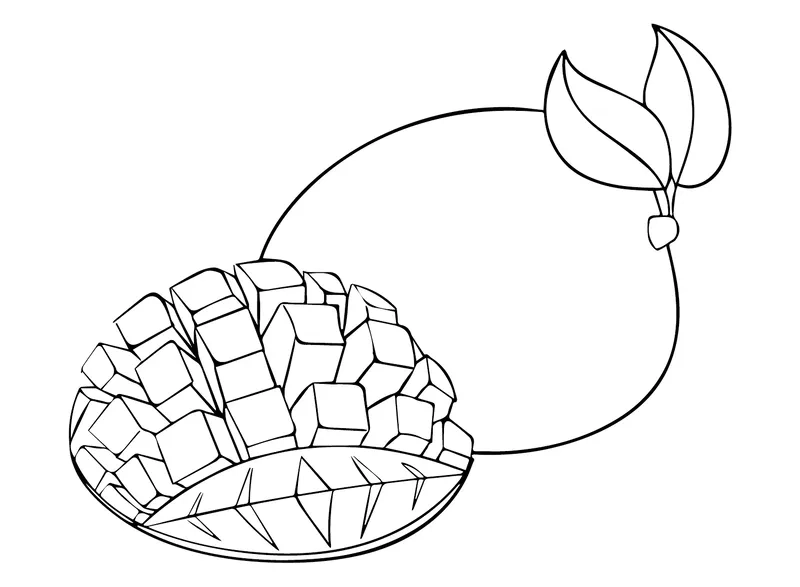 Bộ sưu tập tranh tô màu cây xoài