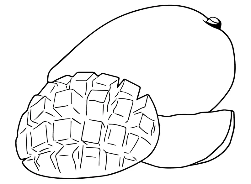 File tranh tô màu cây xoài