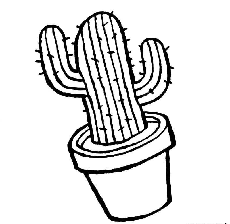Mẫu tô màu cây xương rồng