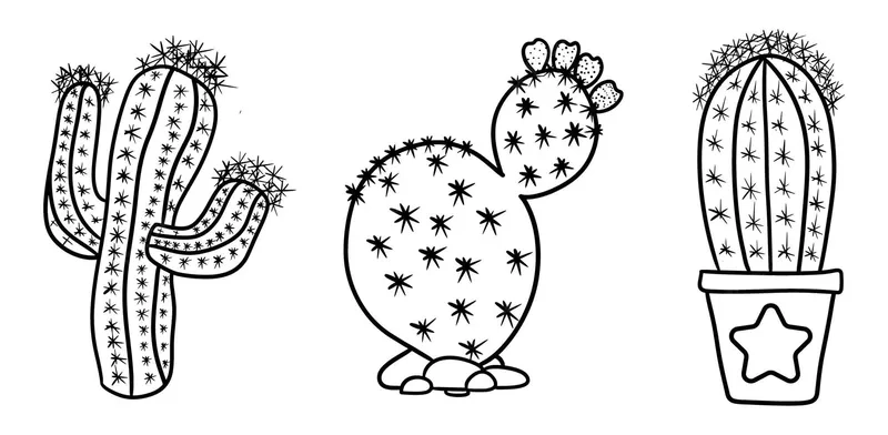 Hoạt động tô màu chủ đề thực vật