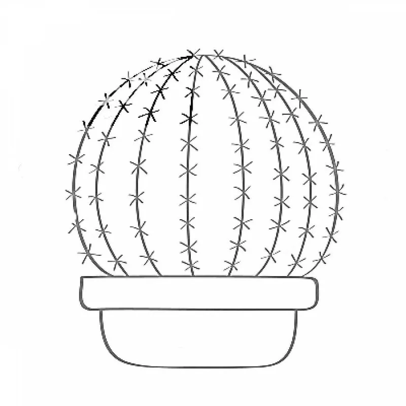 Tải tranh tô màu cây xương rồng