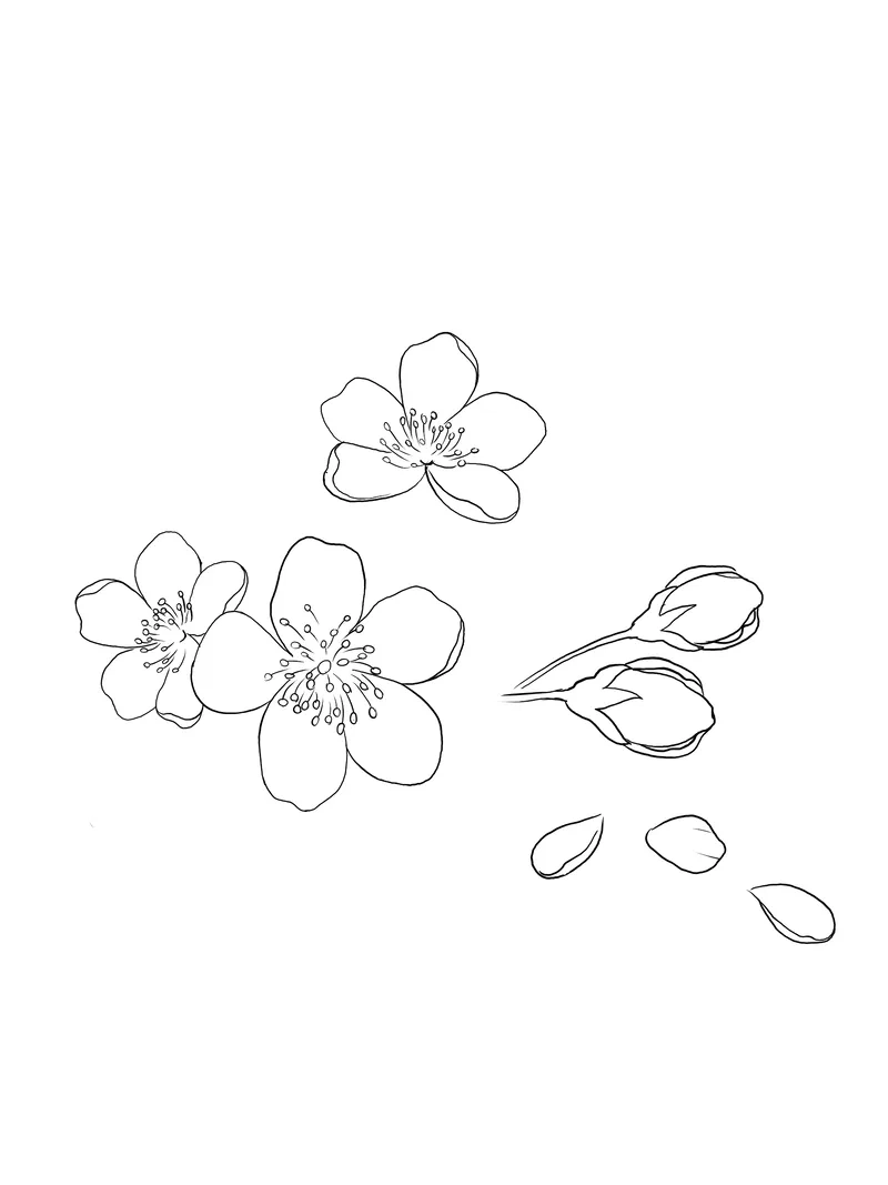 Bé mê mẩn với tranh tô màu hoa đào cute dễ thương