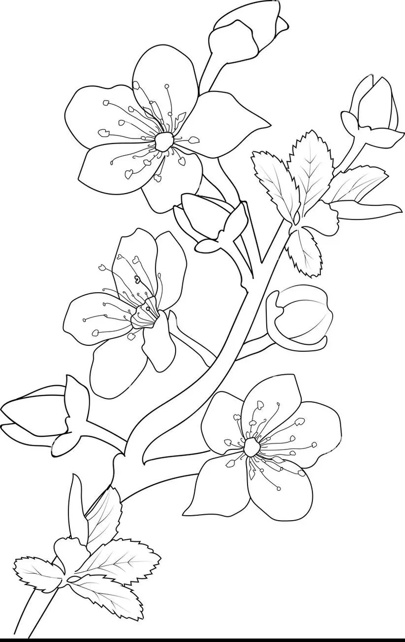 Rực rỡ sắc xuân với tranh tô màu hoa đào rực rỡ