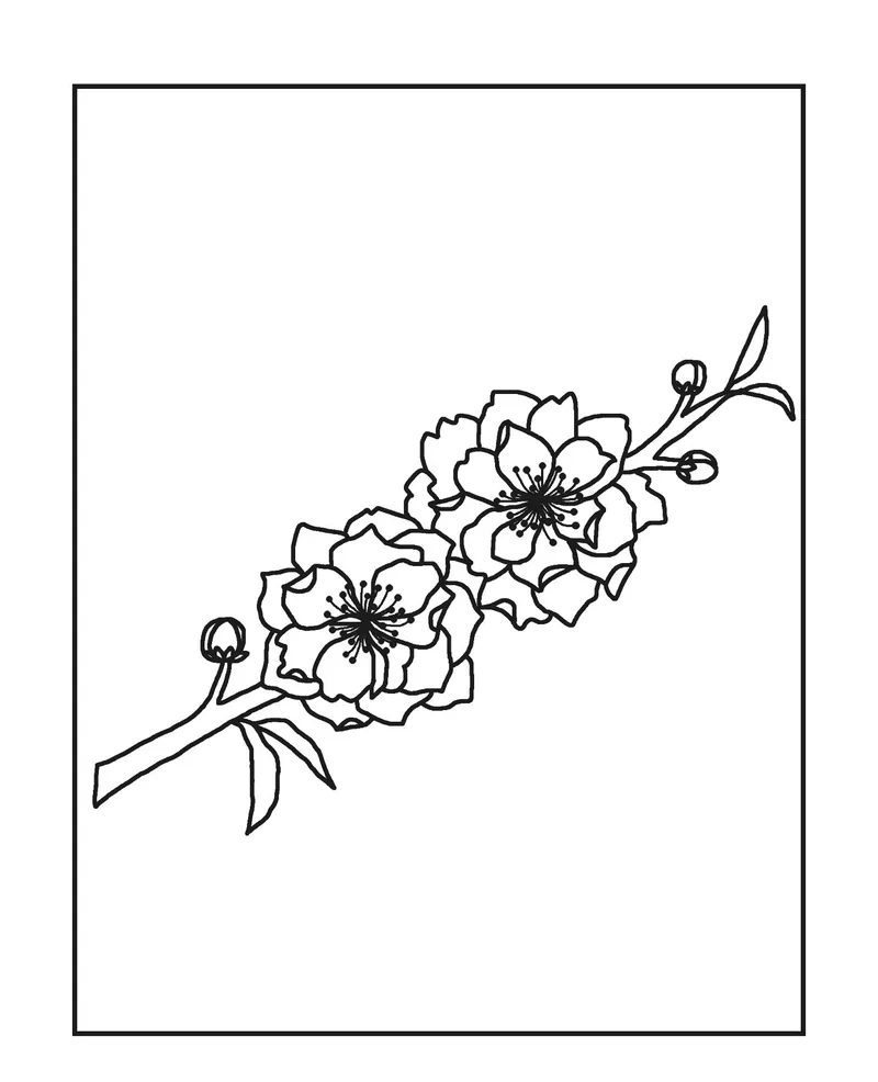 Thỏa sức sáng tạo với mẫu hoa đào tô màu tại nhà