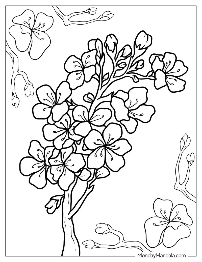 Sắc màu xuân với tô màu hoa đào đẹp tại nhà