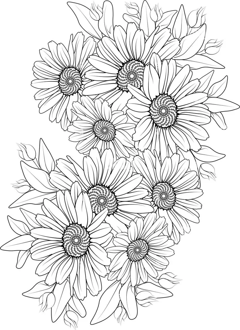 Nét vẽ nổi bật từ tranh tô màu hoa đồng tiền đen trắng