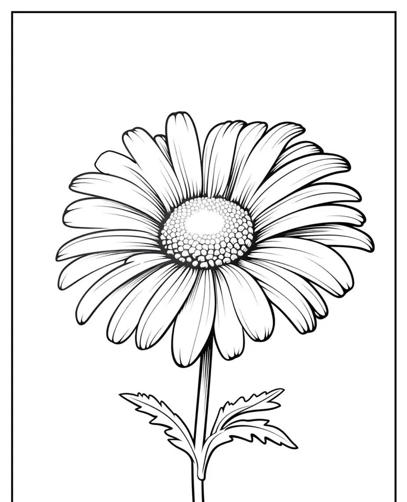 Tranh tô màu hoa đồng tiền là gì thú vị