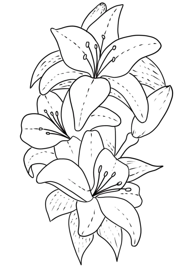 Thỏa sức sáng tạo với tranh tô màu hoa huệ đẹp