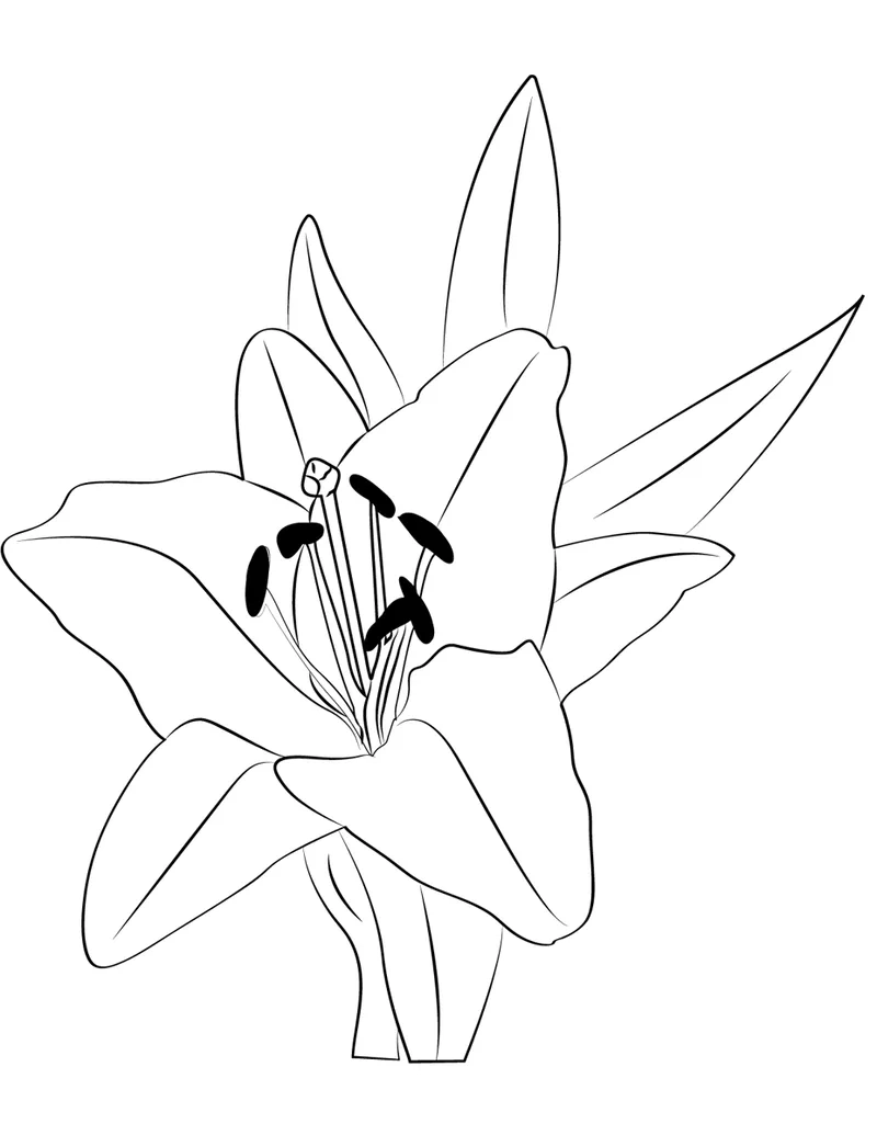 Tranh tô màu hoa huệ là gì và có gì đặc biệt