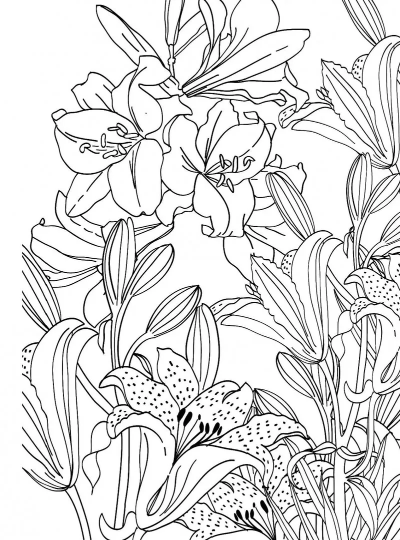 In tiện lợi tranh tô màu hoa huệ a4 cho bé học