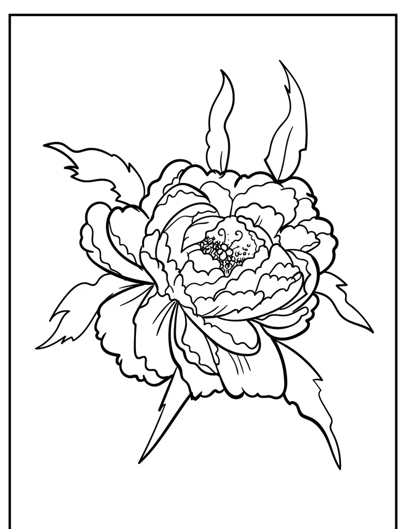 Trải nghiệm 3D với tô màu hoa mẫu đơn 3d