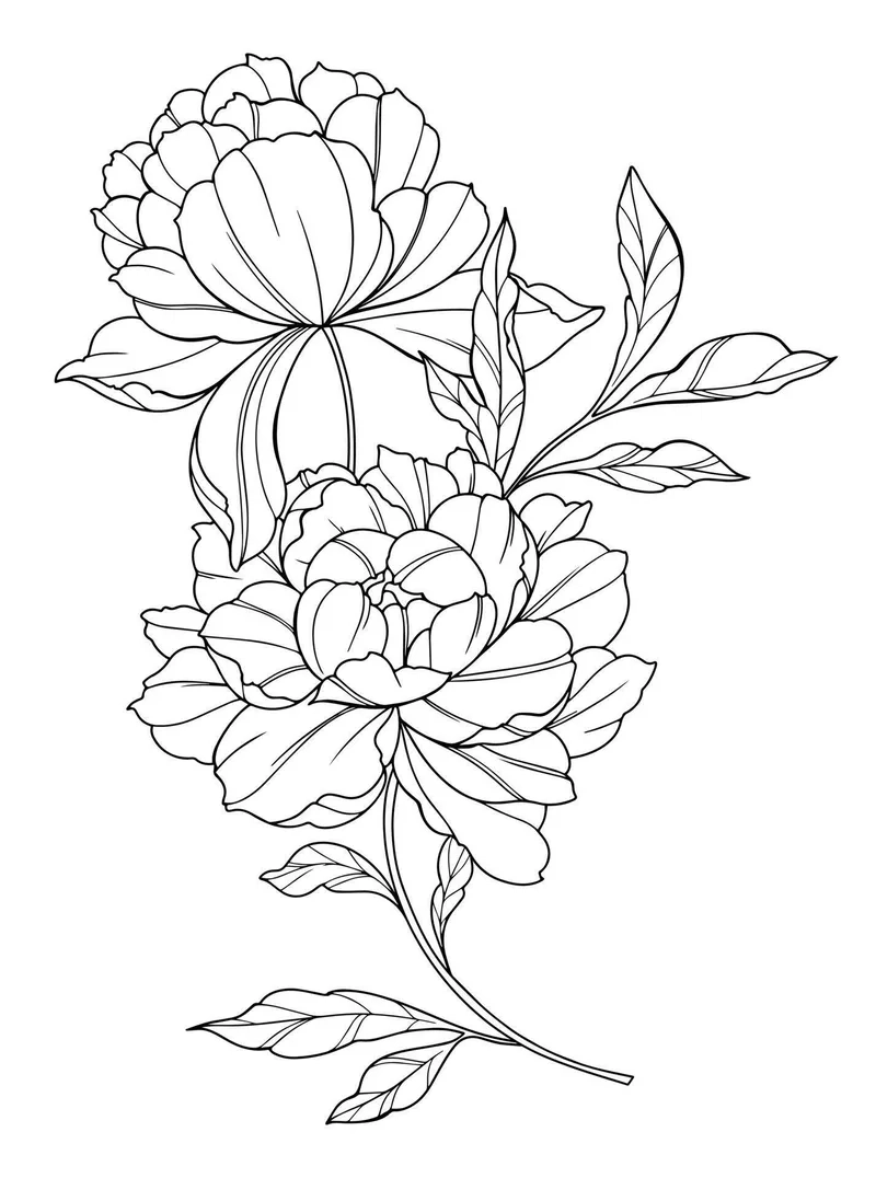 Tải về ngay tranh tô màu hoa mẫu đơn pdf cho bé học