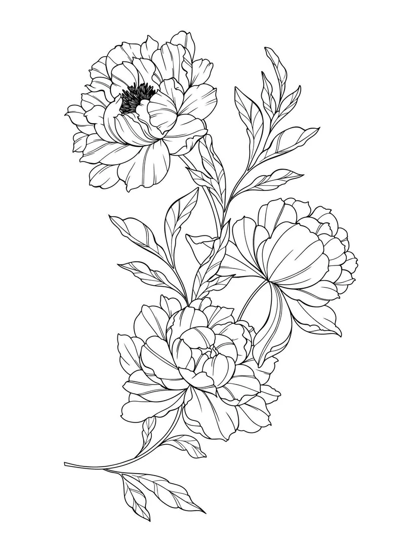 Bé vui chơi sáng tạo cùng tô màu hoa mẫu đơn cho bé