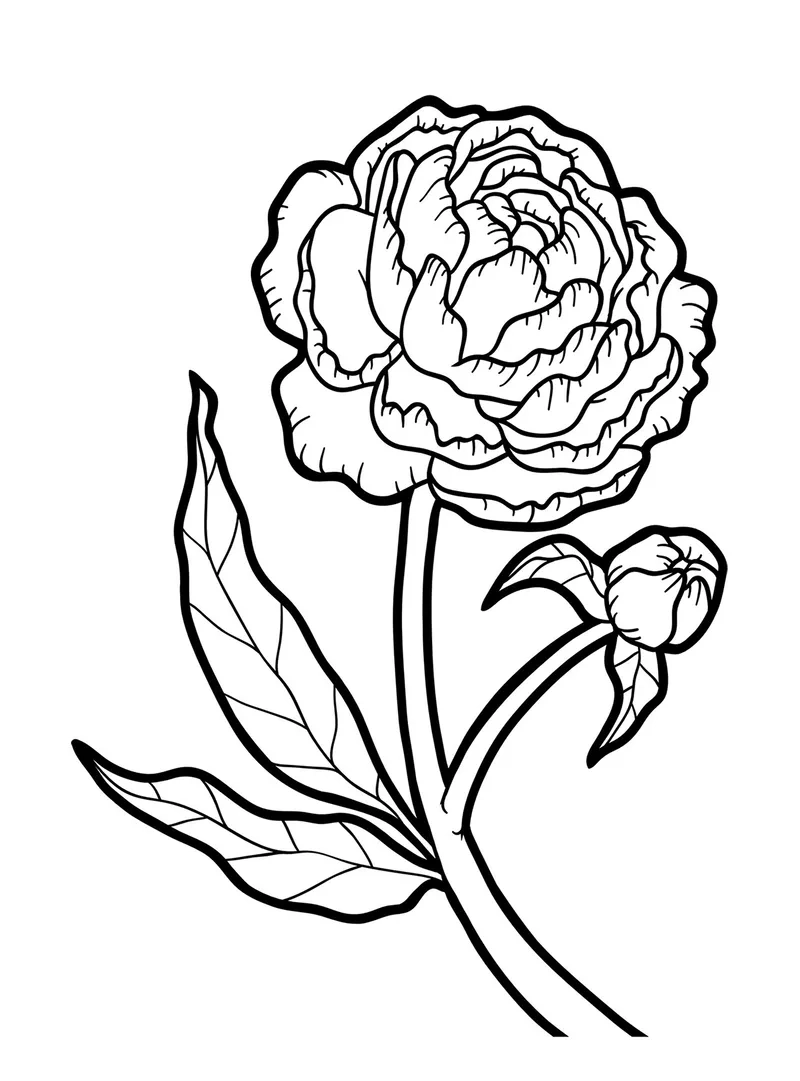 In tiện lợi tranh tô màu hoa mẫu đơn a4