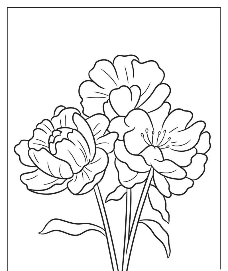 Thỏa sức sáng tạo với mẫu hoa mẫu đơn tô màu