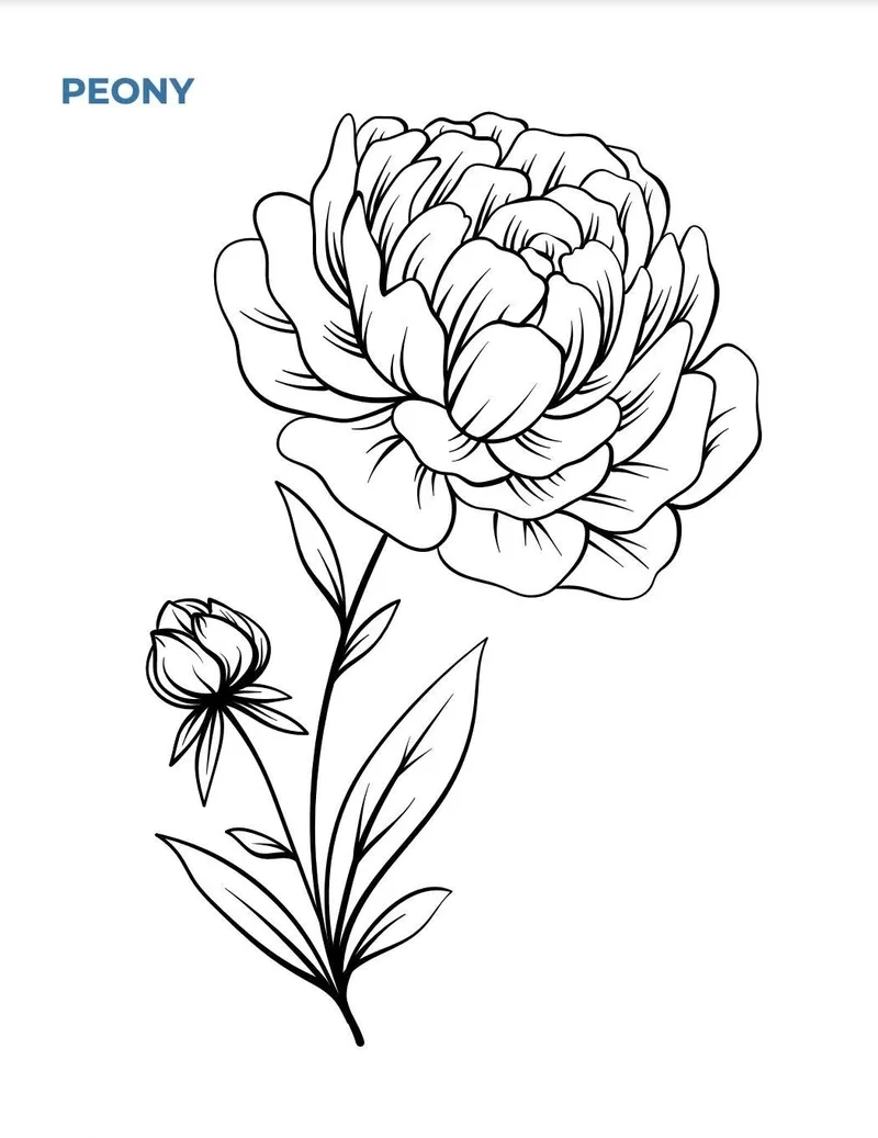 Khám phá sắc màu với tô màu hoa mẫu đơn cách điệu