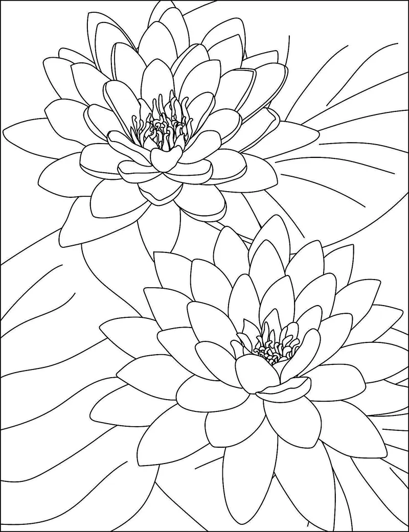 In tranh tô màu hoa sen sắc nét