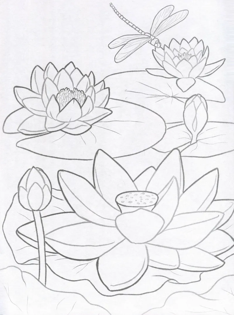 Sách tô màu hoa sen cho bé