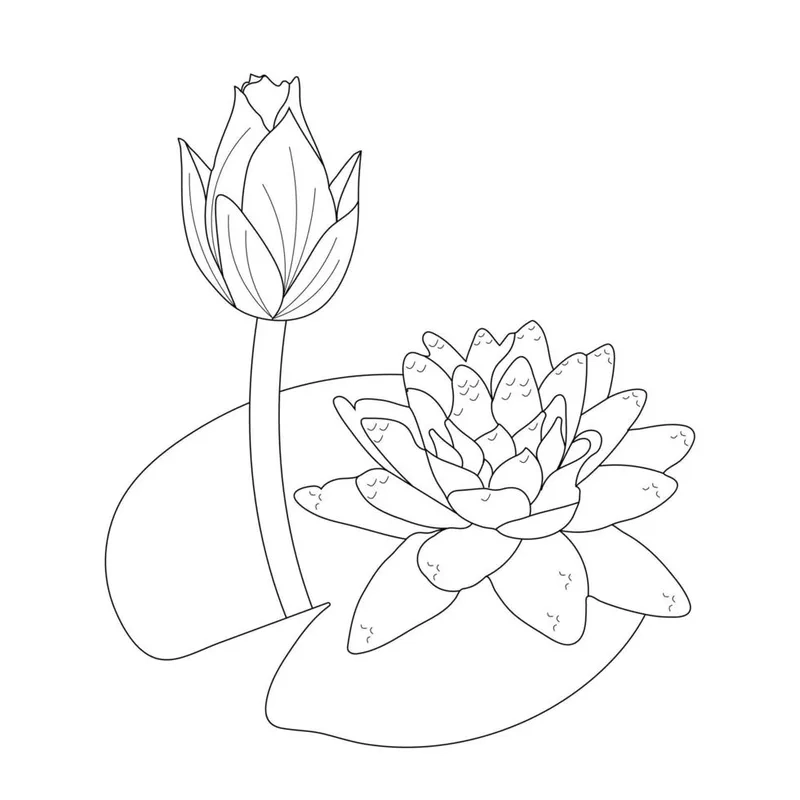 Tranh tô màu hoa sen đơn giản cho bé