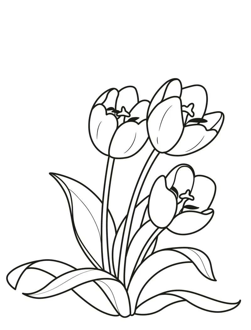 Khám phá tranh tô màu hoa tulip đẹp tuyệt vời