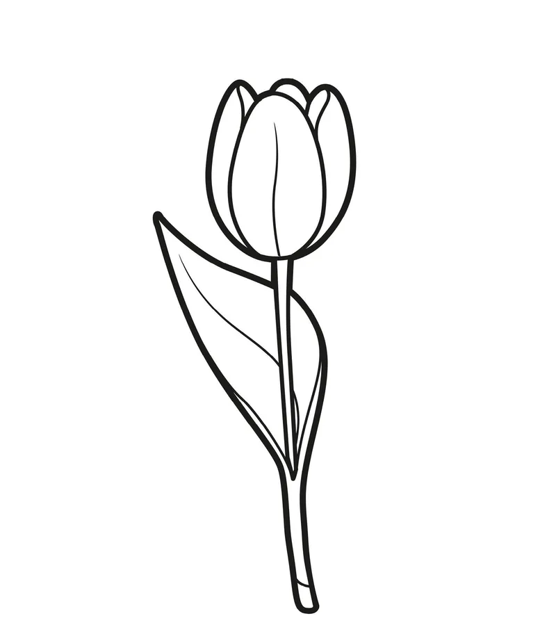 Bé vui thích với tranh tô màu hoa tulip đơn giản