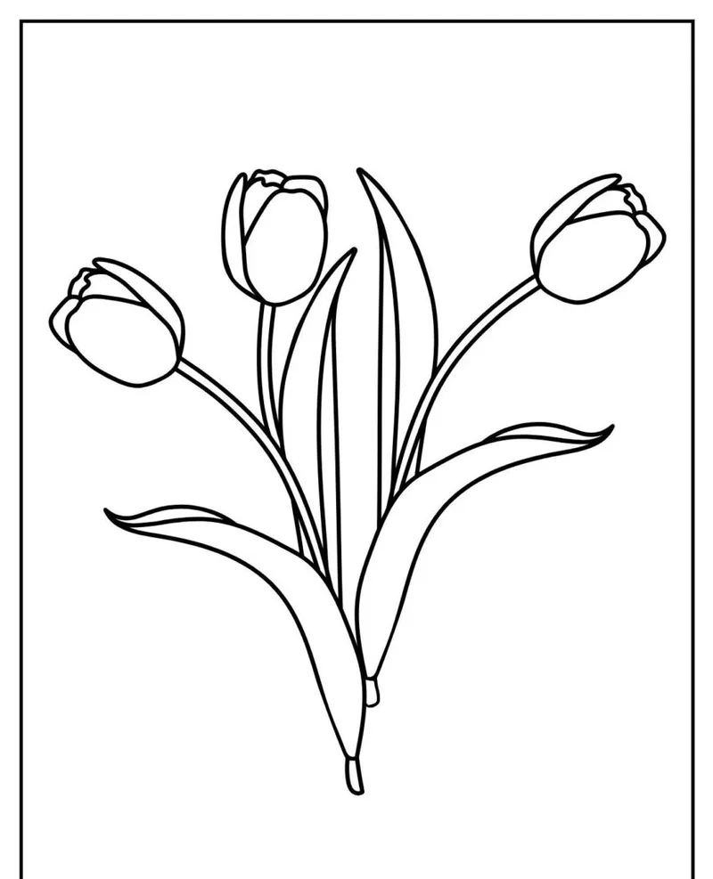 Bé học vẽ cùng tranh tô màu hoa tulip thiếu nhi