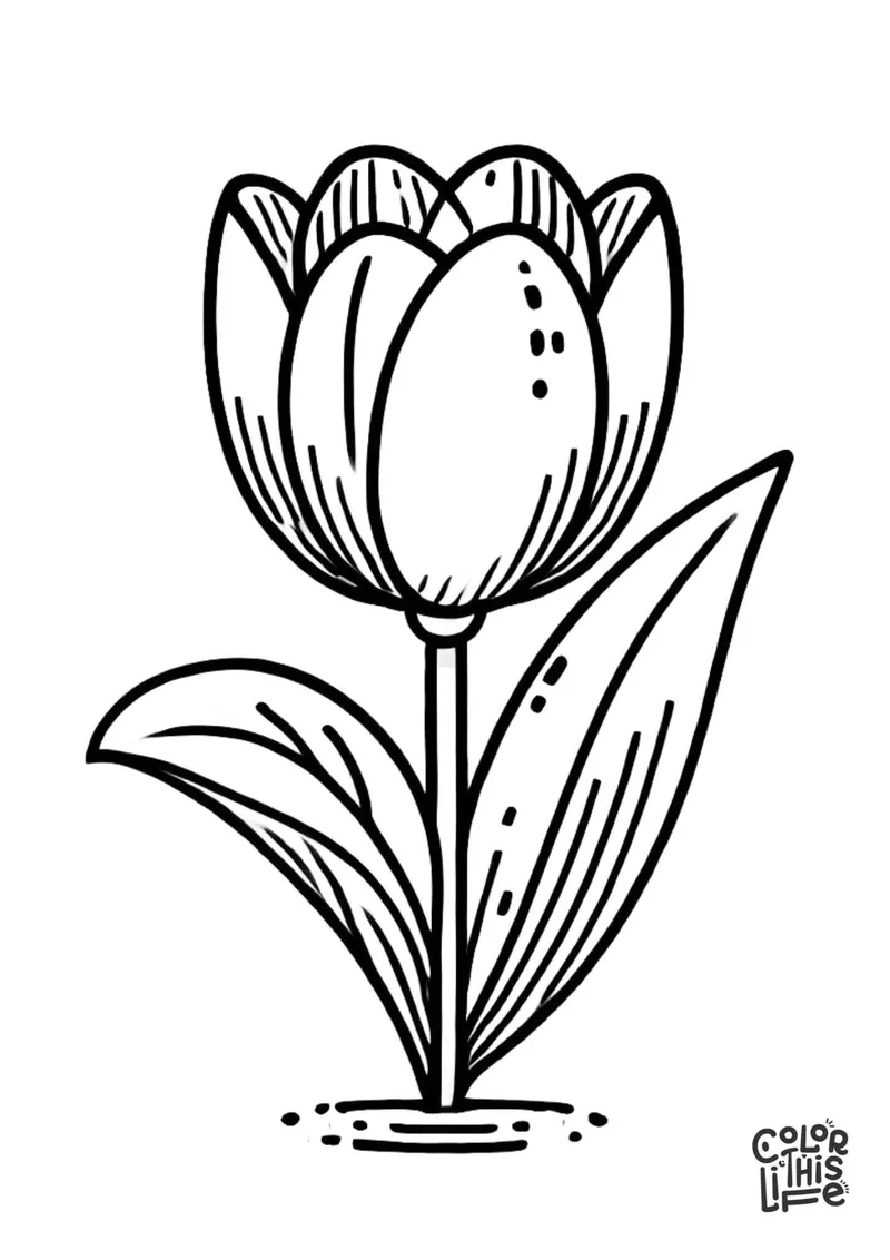 Sắc màu nhẹ nhàng với tranh tô màu hoa tulip nhẹ nhàng