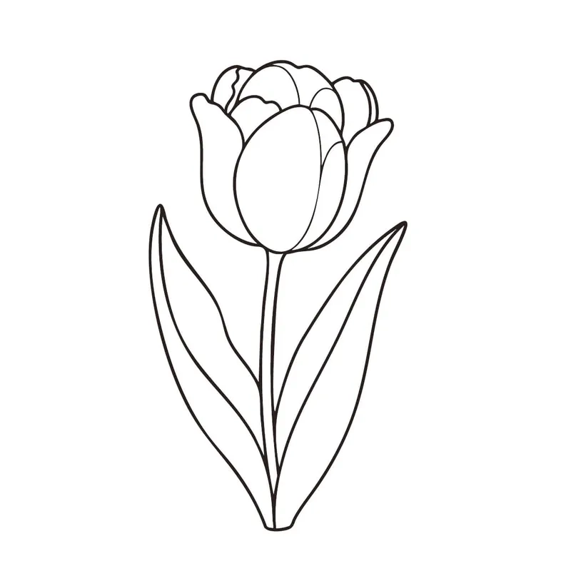 Bé yêu thích tranh tô màu hoa tulip mini nhỏ xinh