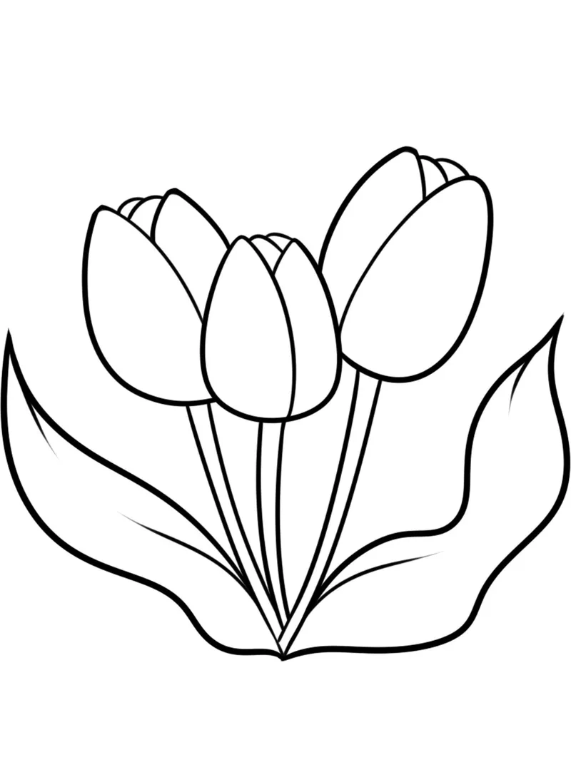 Vẽ đẹp mắt với hình tô màu hoa tulip