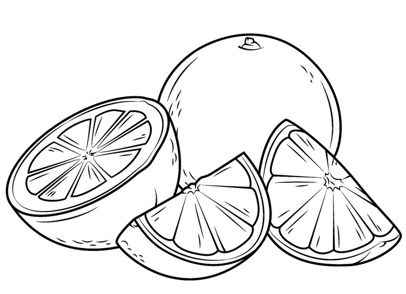 Khám phá bộ tranh tô màu quả cam đẹp mắt cho bé yêu sáng tạo