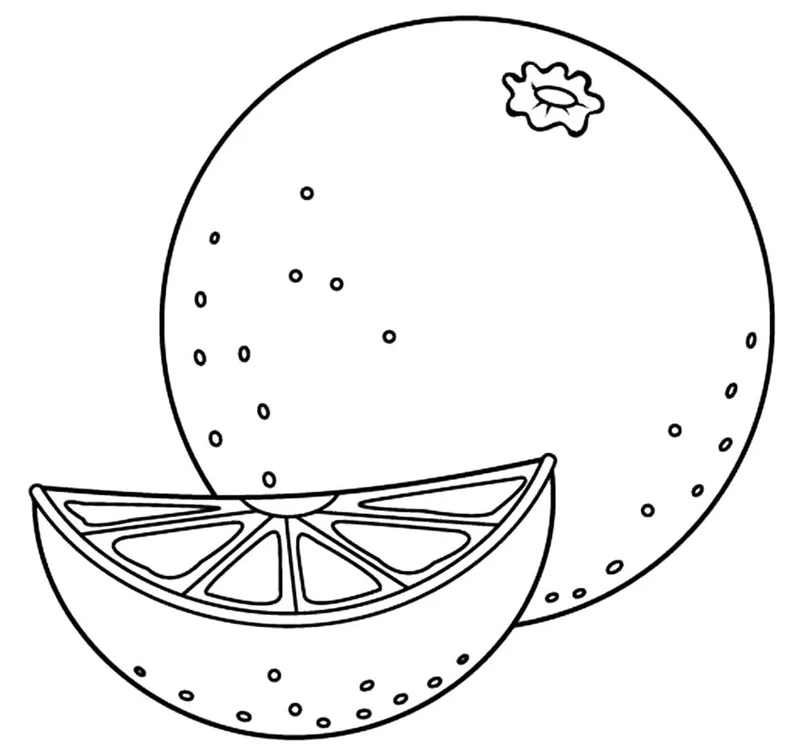 Bé thích mê với mẫu tranh tô màu quả cam đơn giản đáng yêu