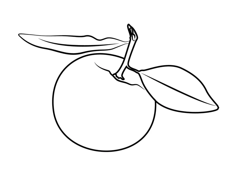 Bộ sưu tập tranh tô màu cam đơn quả siêu dễ tô cho bé tập vẽ