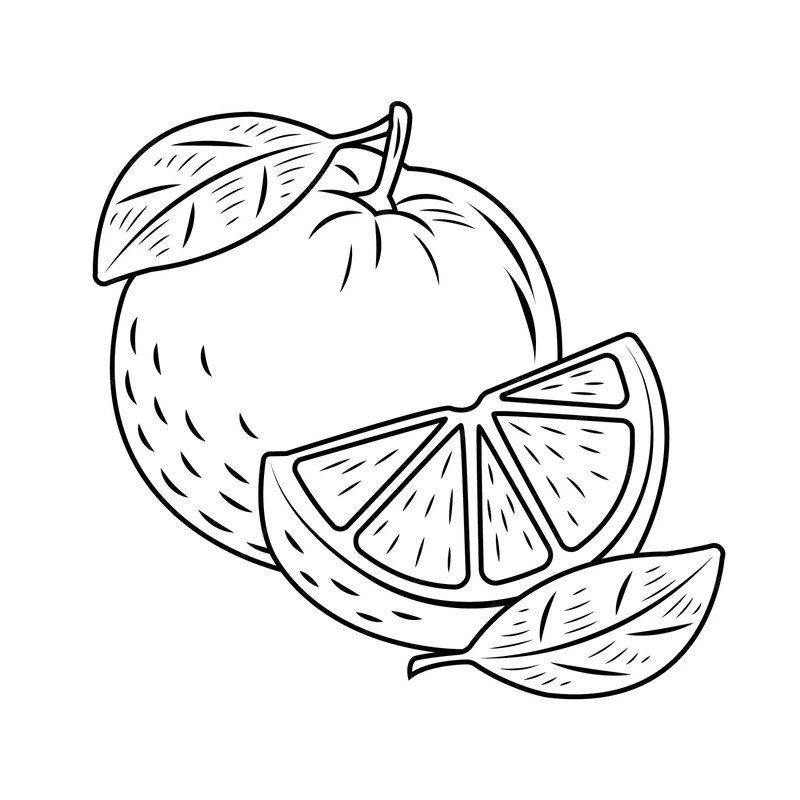 Khơi gợi sáng tạo với tranh tô màu quả cam tươi bắt mắt