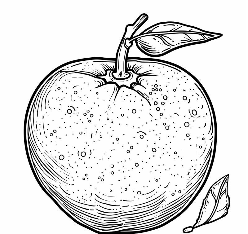 Bé cực thích bộ tranh tô màu quả cam cute thật ngộ nghĩnh