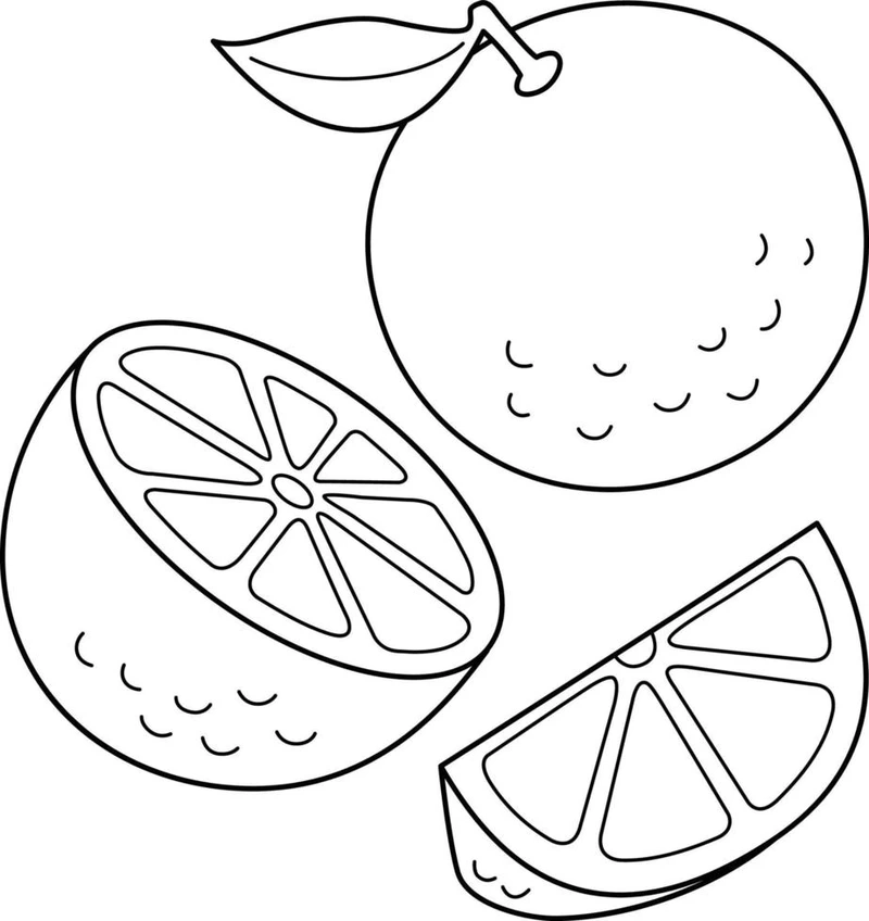 Rèn luyện kỹ năng với tranh tô màu cam cho trẻ em siêu thú vị