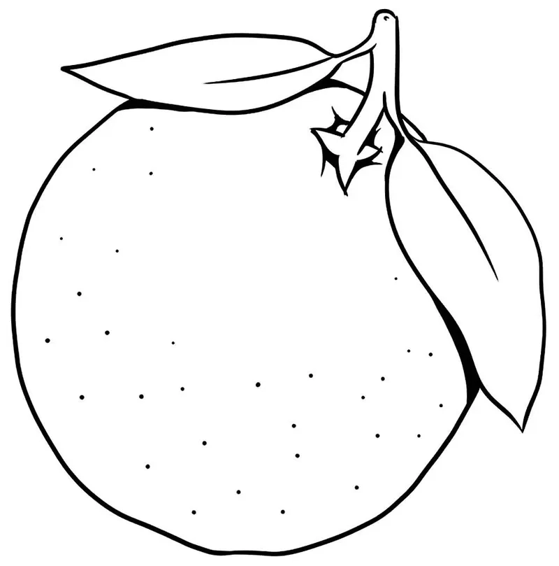 Mẫu tranh tô màu quả cam