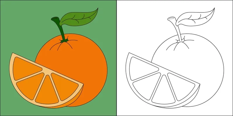 Tranh tô màu quả cam cho bé