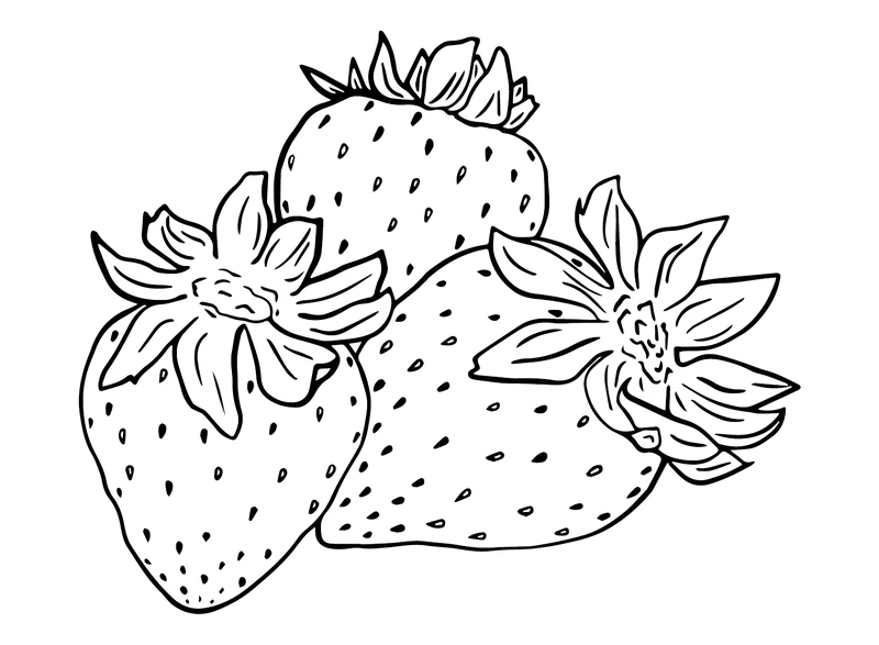 Sáng tạo vui vẻ cùng tranh tô màu dâu tây vector