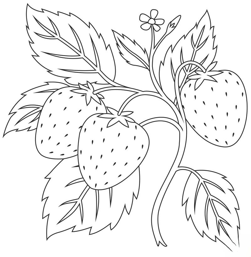 Bé vui học với tranh tô màu quả dâu tây đơn giản