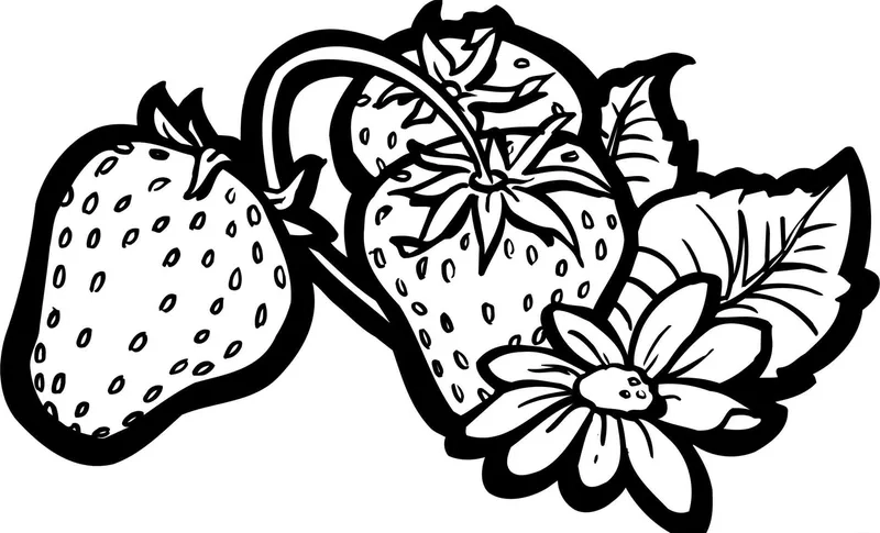 Tải tranh tô màu quả dâu tây miễn phí