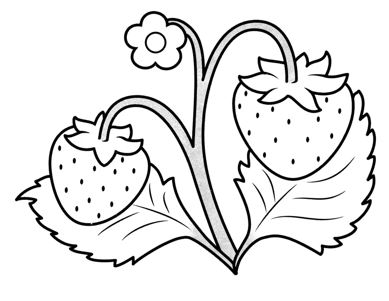 Hình vẽ tranh tô màu quả dâu tây