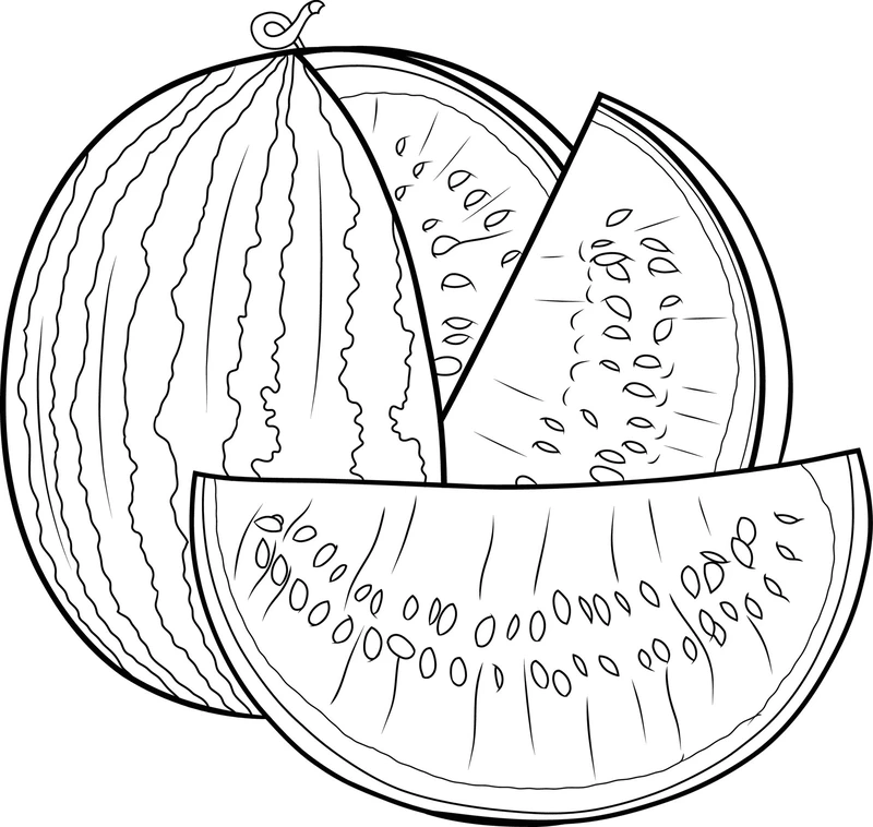 Giúp bé học tô với tranh tô màu dưa hấu cho trẻ em 
