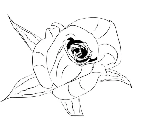 Bộ sưu tập tô màu hoa hồng nhiều mẫu đẹp cho bé sáng tạo