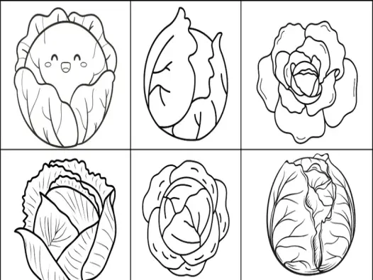 Tổng hợp tranh tô màu cây bắp cải đơn giản dễ tô cho bé