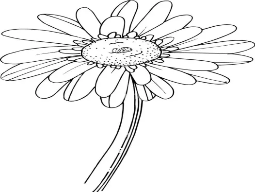 Mẫu tranh tô màu hoa đồng tiền mới nhất bé thích mê ngay