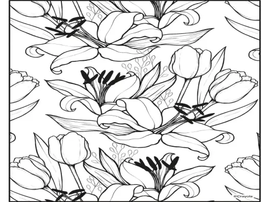 Bộ sưu tập tranh tô màu hoa huệ đa dạng phong cách cho bé